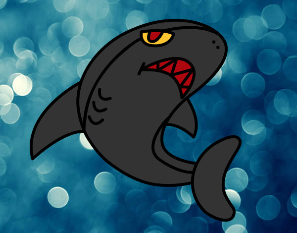 Desenho Tubarão nadando pintado por Nadim