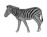 Desenho Zebra pintado por Nadim