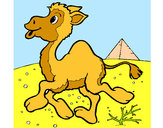 Desenho Camelo pintado por elisadiog 