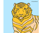 Desenho Tigre pintado por elisadiog 