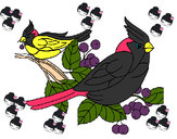 Desenho Pássaros pintado por  nckms