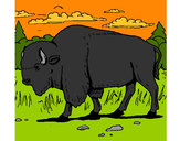 Desenho Búfalo pintado por ImShampoo