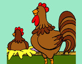 Desenho Galo e galinha pintado por ImShampoo