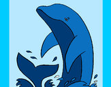 Desenho Salpicos golfinho pintado por nanda12