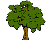 Desenho Árvore 1 pintado por CAMIL
