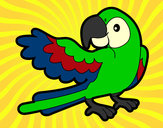 Desenho Papagaio abrir a asa pintado por arister