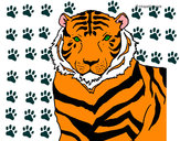 Desenho Tigre pintado por Maria123