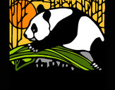 Desenho Urso panda a comer pintado por BDALESSIO