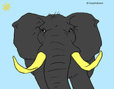Desenho Elefante africano pintado por Fabioloso