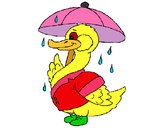 Desenho Pato sob a chuva pintado por angeladias