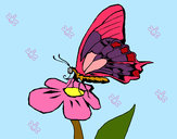 Desenho Borboleta em flor pintado por Marjory
