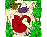 Desenho Cisnes pintado por FABIANE