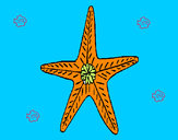 Desenho Estrela do mar pintado por gigica