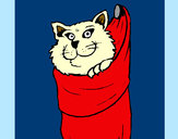 Desenho Gato dentro de uma meia pintado por danidan