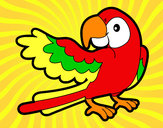 Desenho Papagaio abrir a asa pintado por FELIPE5