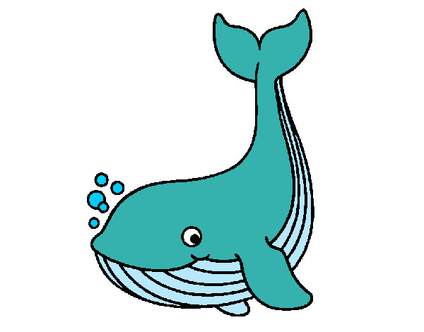 Desenho Pequena baleia pintado por joaop