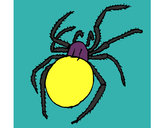 Desenho Aranha venenosa pintado por Rian