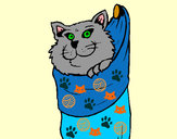 Desenho Gato dentro de uma meia pintado por ImShampoo