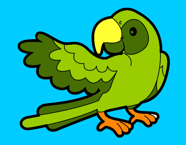 Desenho Papagaio abrir a asa pintado por uzumake 