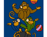Desenho Macacos a fazer malabarismos pintado por Guile