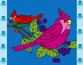 Desenho Pássaros pintado por lorrane