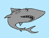 Desenho Tubarão pintado por Pepsi