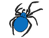 Desenho Aranha venenosa pintado por rrosante