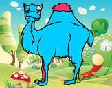 Desenho Camelo chato pintado por Gucosaga