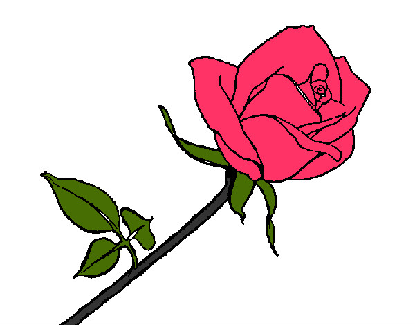 Desenho Rosa pintado por lidia43