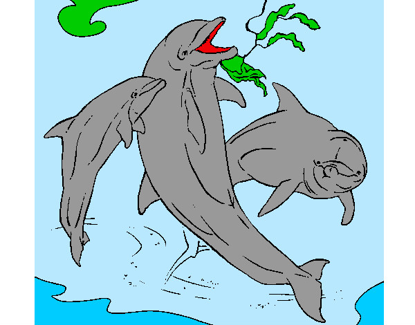 Desenho Golfinhos a brincar pintado por mariso