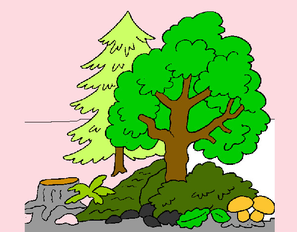 Desenho Bosque pintado por givaneide
