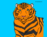 Desenho Tigre pintado por dantas
