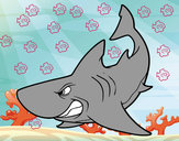 Desenho Tubarão furioso pintado por dantas