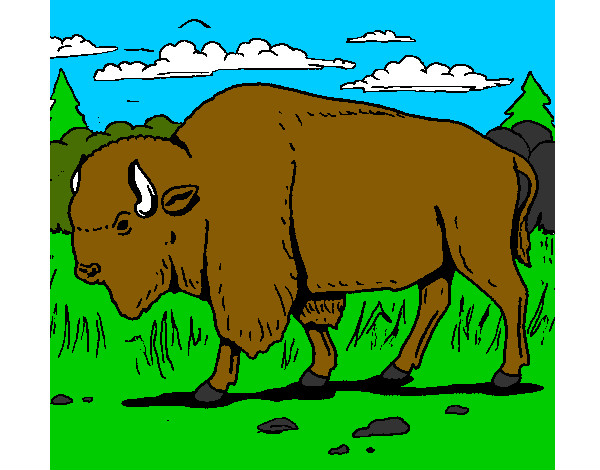 Desenho Búfalo pintado por mirimiri