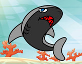 Desenho Tubarão nadando pintado por juba