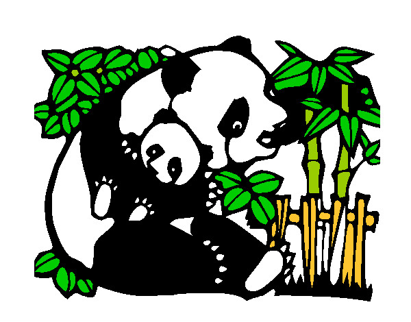 Desenho Mamã panda pintado por gloriaa