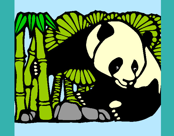 Desenho Urso panda e bambu pintado por carolb