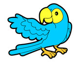 Desenho Papagaio abrir a asa pintado por alessa