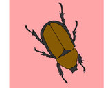 Desenho Escaravelho pintado por Guilerme2