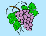 Desenho Cacho de uvas pintado por vhanna