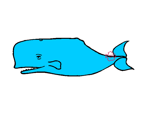 Desenho Baleia azul pintado por briel