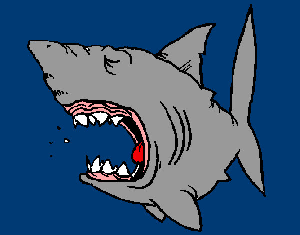 Desenho Tubarão pintado por barreto