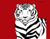 Desenho Tigre pintado por gloriaa