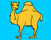 Desenho Camelo chato pintado por Migalhas