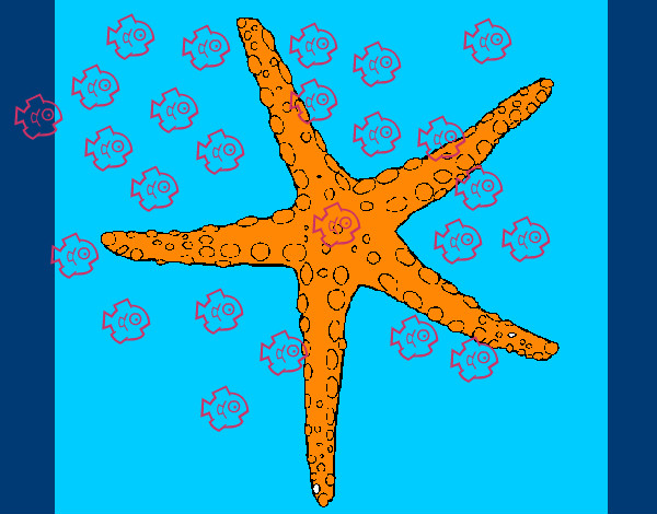Desenho Estrelita do mar pintado por gabizola