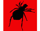 Desenho Aranha viúva negra pintado por andersongs