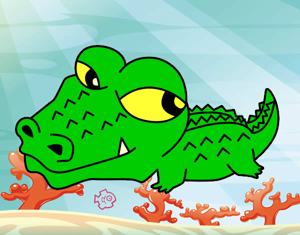 Desenho Crocodilo pequeno pintado por andersongs
