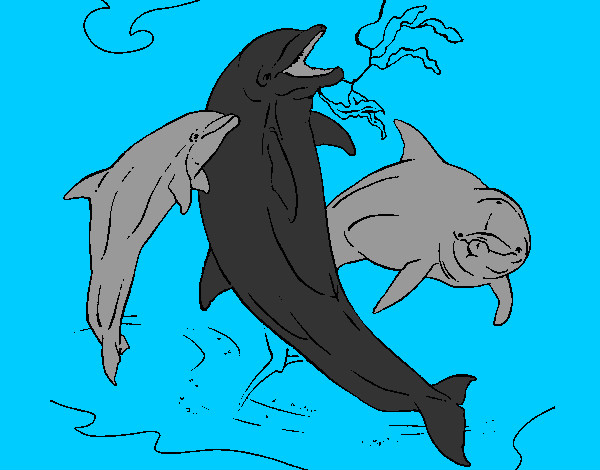 Desenho Golfinhos a brincar pintado por gloriaa