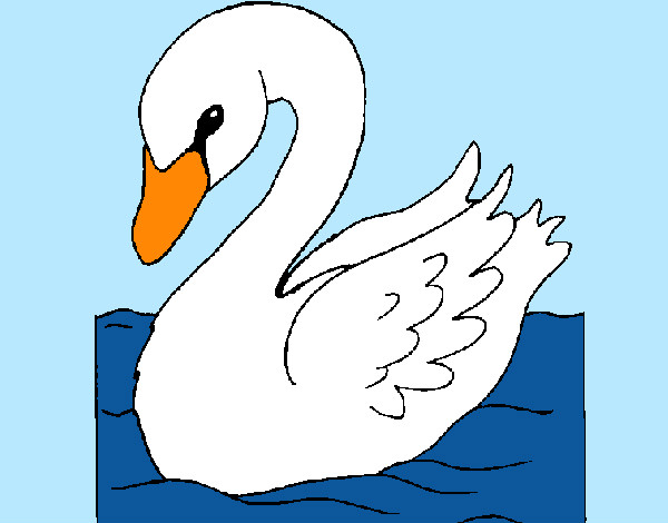 Desenho Cisne pintado por ImShampoo
