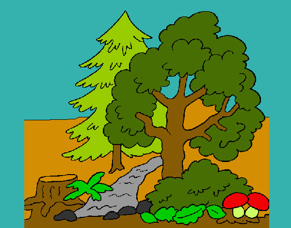 Desenho Bosque pintado por eduardo2